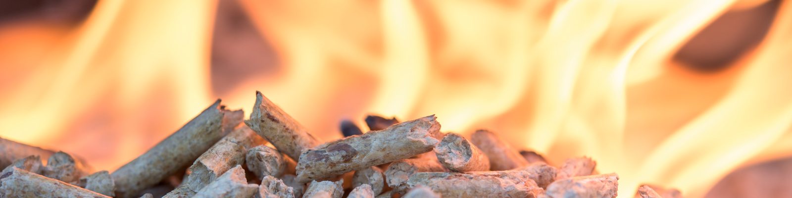 AdobeStock1_116695291